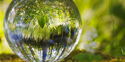 Drowning in Distraction? Your Journal is the Lifeline You Didn't Know You Needed